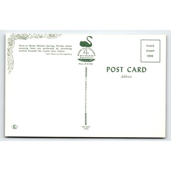 Postcard Weeki Wachee Springs Florida Garden Patio Dining Mermaids Chrome Unused - Picture 2 of 2